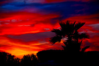 Z62_5588-Edit.jpg
