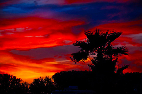 Z62_5588-Edit.jpg