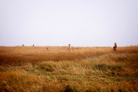 DSC_1128-Edit