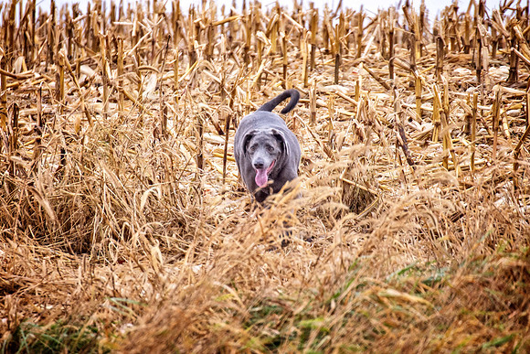 DSC_1152-Edit