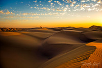 Buttercup Sand Dunes California