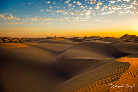 Buttercup Sand Dunes California