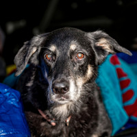 Z62_6467-Edit.jpg