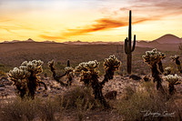 Dusk on the Sonoran Desert Arizona