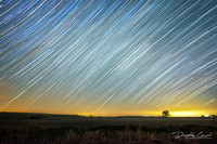 Stars Over the Plaines