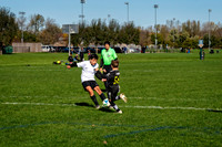 Z62_6622-Edit.jpg