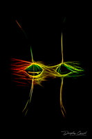 Dancing Pappus