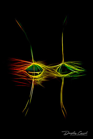 Dancing Pappus