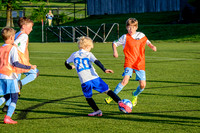 Z62_8980-Edit.jpg