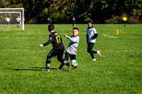 Z62_6611-Edit.jpg