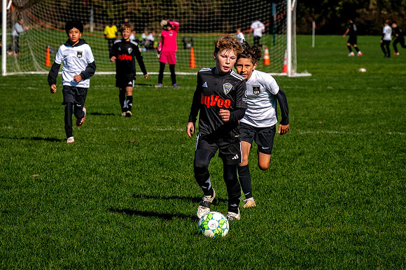 Z62_6672-Edit.jpg