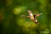Hovering