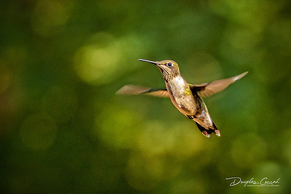 Hovering