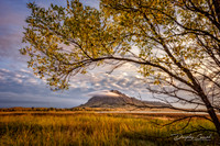 Early Morning at Bear Butte