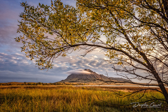 Early Morning at Bear Butte