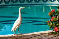 _7205365-Edit.jpg