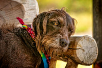 _7201091-Edit-2.jpg