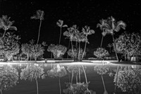 01,SE084,DB,Midnight_Reflections.jpg