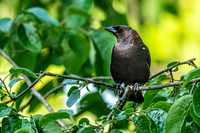 _7207116-Edit.jpg