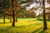 _DSC0271-Edit
