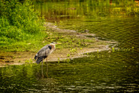 _DSC5353-Edit.jpg