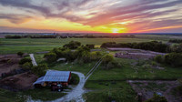 DJI_0123.jpg