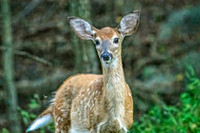 _7202369-Edit.jpg