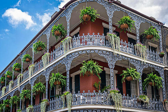 New Orleans 2023-18.JPG