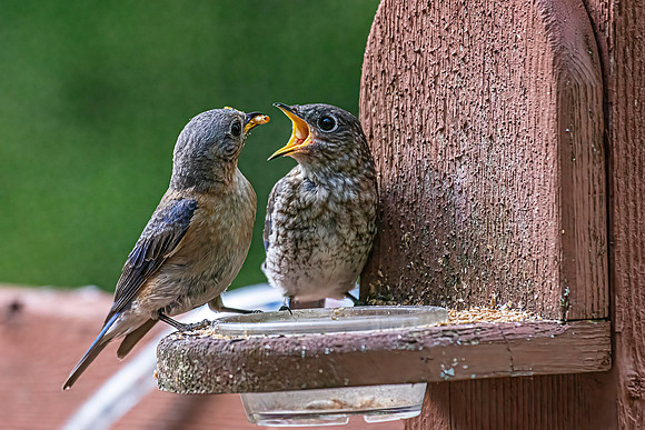 _7207089-Edit.jpg