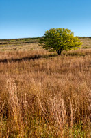 _DSC8558-Edit.jpg