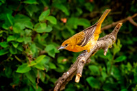 _7202661-Enhanced-NR-Edit.JPG
