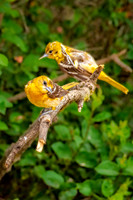 _7202696-Edit-Edit.JPG