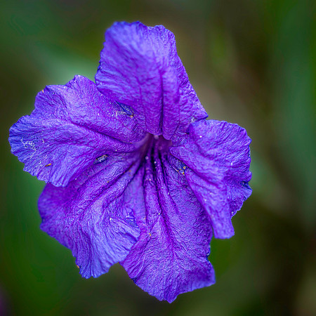 _7201992-Edit.JPG