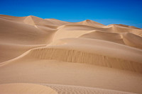 _7201427-Edit.JPG