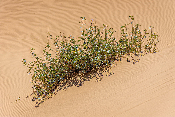 _7201431-Edit.JPG