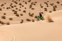 _7201458-Edit.JPG