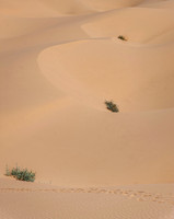 _7201468-Edit.JPG