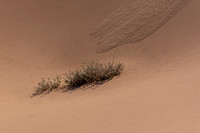 _7201487-HDR.JPG