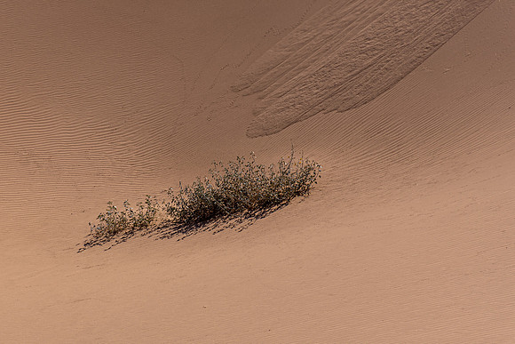 _7201487-HDR.JPG
