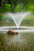 Z62_2554-Edit.JPG
