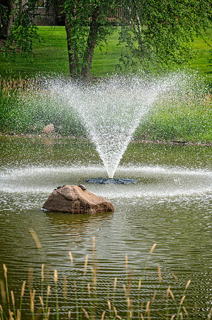 Z62_2554-Edit.JPG