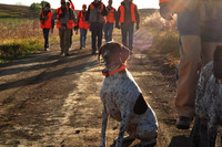 Pheasants Forever Youth Mentor Hunt 2011