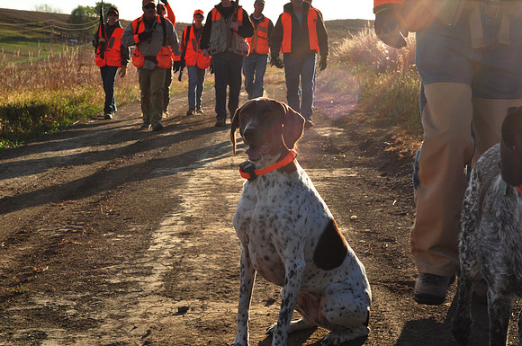 Pheasants Forever Youth Mentor Hunt 2011