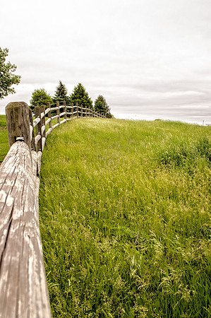 DSC_7518-Edit