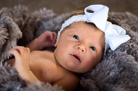 DSC_2505-Edit