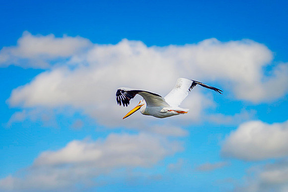 _7201021-Edit-Edit.jpg