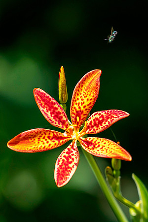 Z62_9342-Edit-Edit.jpg
