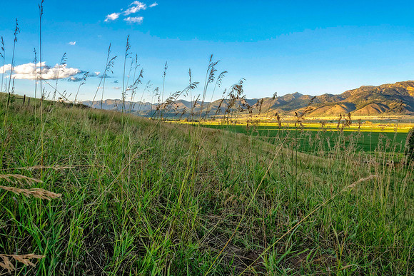GBO Elk Hunt-17.jpg
