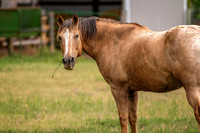 Z62_7814-Edit.jpg