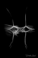 Pappus Radiance